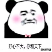 在“圣诞节停火”背后：政治家的野心无法掩盖
