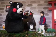 日本第一个网络，第一个公共宠物服务器，熊本