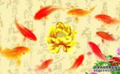 星期五，幸运的是，三个生肖正在崛起。无论是