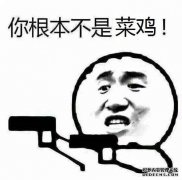 英超联赛：卡迪夫城主场迎战沃尔夫，新推出的