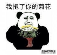 迷你世界：当玩家感到无聊时，有些事情要做，