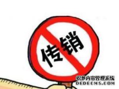 [我敦促公安部重视金字塔计划和金字塔计划，并