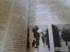 ne在日语中是什么意思？