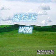 寻找内蒙古黑字，准确性。