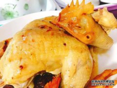 如何练习白羽鸡