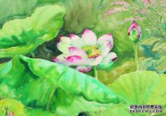 Jan Wanli创作的《小莲花》