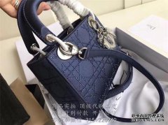 Dior Dior单肩包一对一高仿
