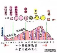 子宫内膜厚6毫米。他已经被拘留了一年多。正常