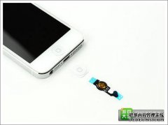 如果Apple 6的“开始”按钮坏了怎么办？