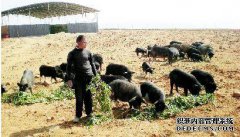 1950年代的老照片，农民是地主，田岐，图5，女人