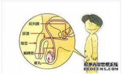两个男性的卵痛都不舒服吗？