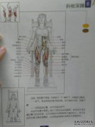 大腿白线的原因是什么？