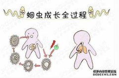tick虫会引起腹泻吗？我应该注意些什么？