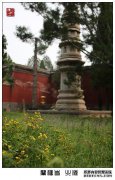 [Zheping Jiayou讲解光]