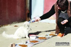 债务是什么意思？