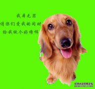 279，管理者应反思（7）