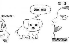 zz网络术语是什么意思？