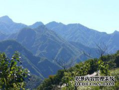 [山路灭绝]