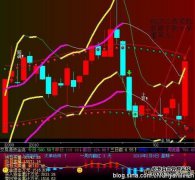 在西藏城市的投资行为下，我们分析了每日严格