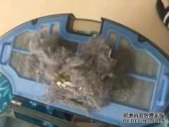 对Cobos Dibao dn55和dn33的分析有很好的区别，但是特