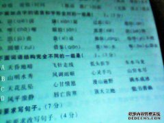 什么和什么6字母的语言