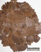 [如何区分蟑螂和棉螨与花生螨？如何区分次级