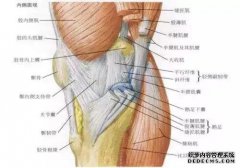 右肩肌腱，棘上肌腱损伤，少量关节液