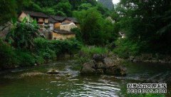 张林市介绍