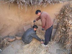 中国有钱的人无能为力。一万美元的壮阳药用于