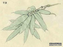 在天府仙浪宫一楼上挂一朵花[图像和价格]