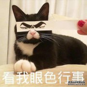 孩子们永远都是我。