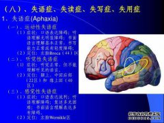 人的感觉是由于大脑分泌的诸如秃精之类的物质