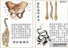 [滇川国树]如何实现“虎抖”，一种“伸筋”和大